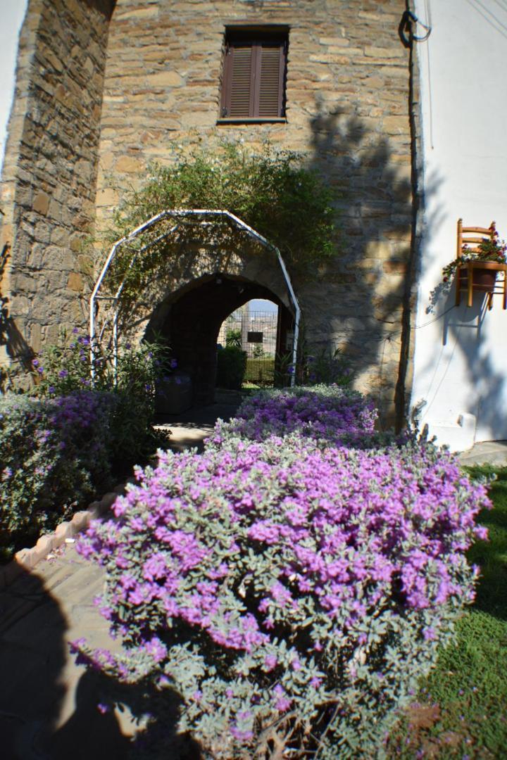 George Houses Pentakomo Rom bilde